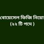 বোয়েসেল ফিজি নিয়োগ