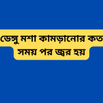 ডেঙ্গু মশা কামড়ানোর কত সময় পর জ্বর হয়